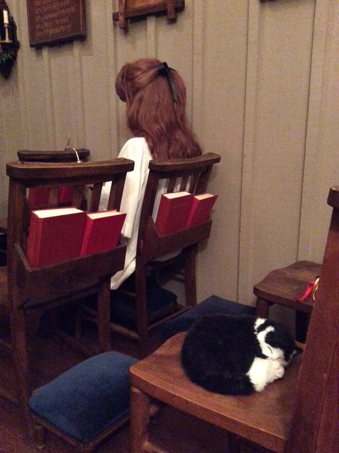 Cat sleeping on a seat in the Chapel