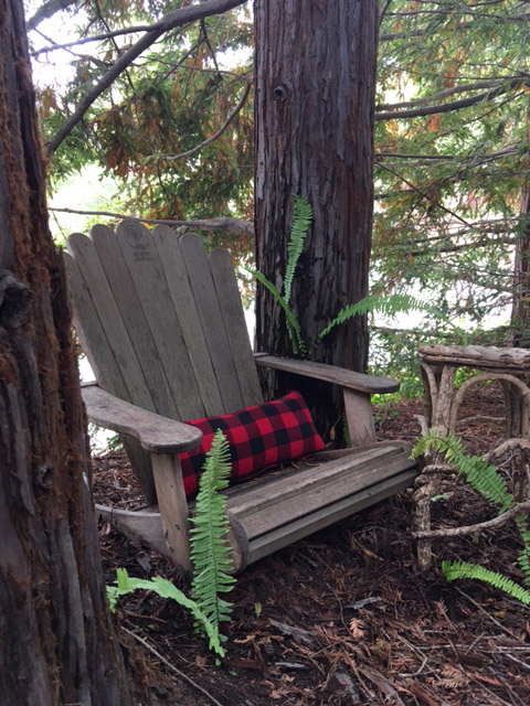 Wooden chair in the woods