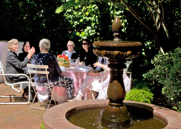 Enjoying a sunny afternoon