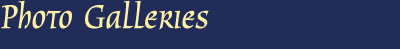 Photo Galleries